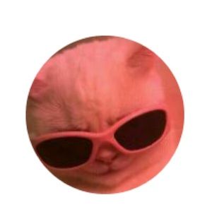 Meet your Posher, Catherine